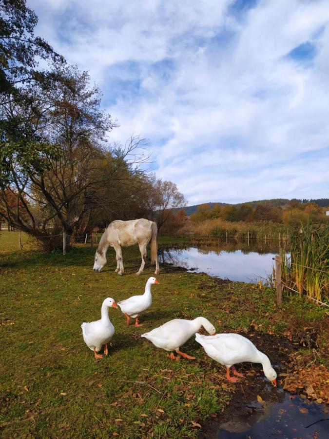 Podkrovni Apartman Pololan U Rybnika Nová Ves Exterior photo