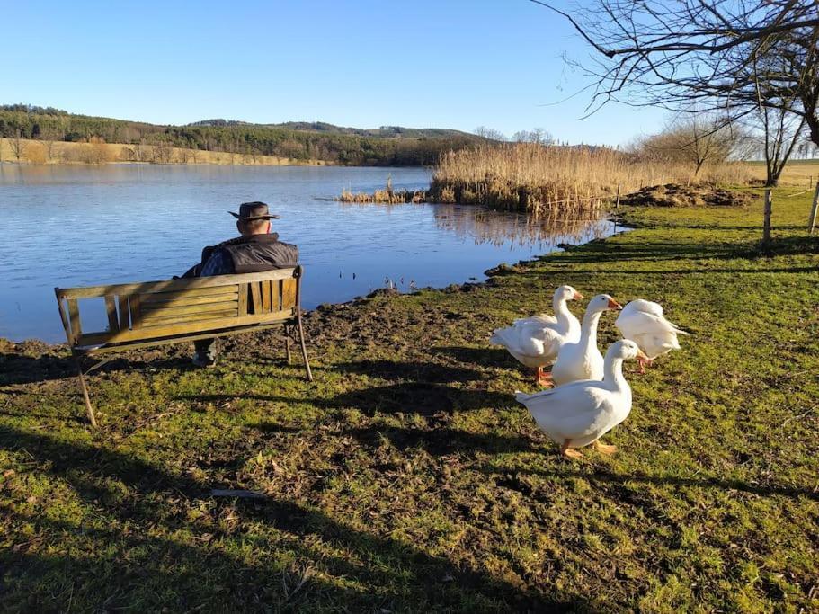 Podkrovni Apartman Pololan U Rybnika Nová Ves Exterior photo