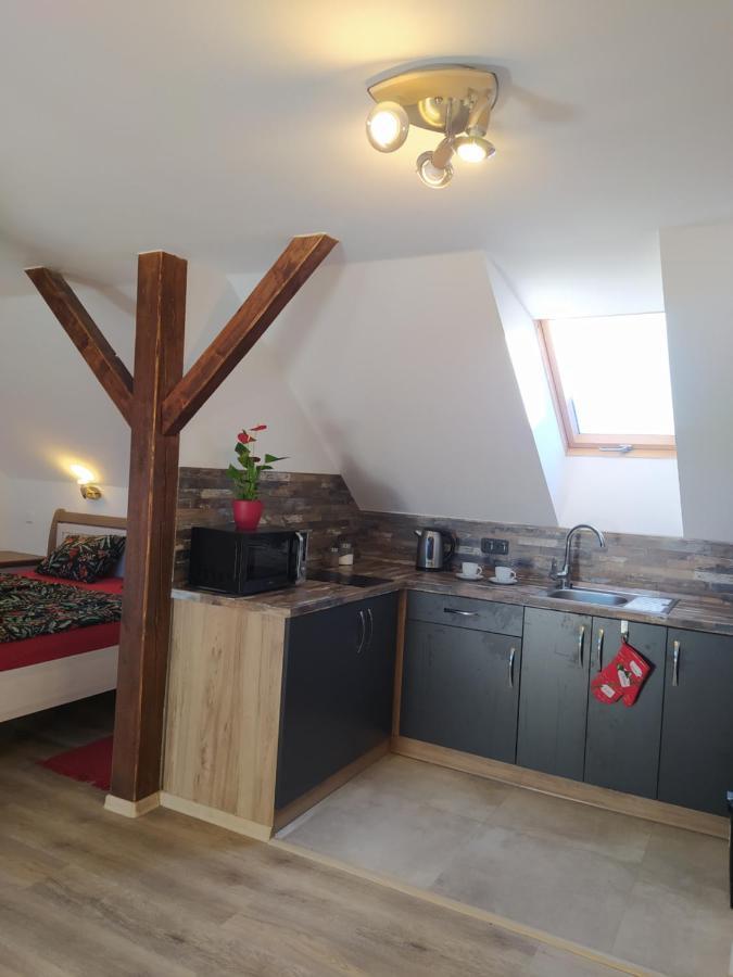 Podkrovni Apartman Pololan U Rybnika Nová Ves Exterior photo